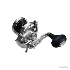 Moulinet Casting Shimano Ocea Jigger 2001 P