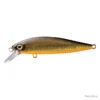 Poisson Nageur Shimano Cardiff Stream Flat 65 ES 6,5cm 009 - Black Gold 9,2g 1 Poisson Nageur Shimano Cardiff Stream Flat 65 ES 6,5cm 009 - Black Gold 9,2g -pacificpeche shop 00001 Poisson Nageur Shimano Cardiff Stream Flat 65 ES 6 5cm 009 Black Gold 9 2g