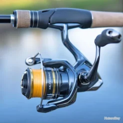 Moulinet Spinning Shimano Ultegra FC 1000 -pacificpeche shop 00003 Moulinet Spinning Shimano Ultegra FC 1000