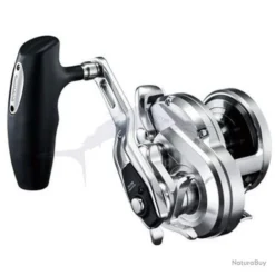 Shimano Ocea Jigger 2001NR-PG