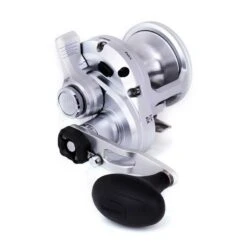 Moulinet Tambour Tournant Shimano Speedmaster Lever Drag 2 Vitesses 12